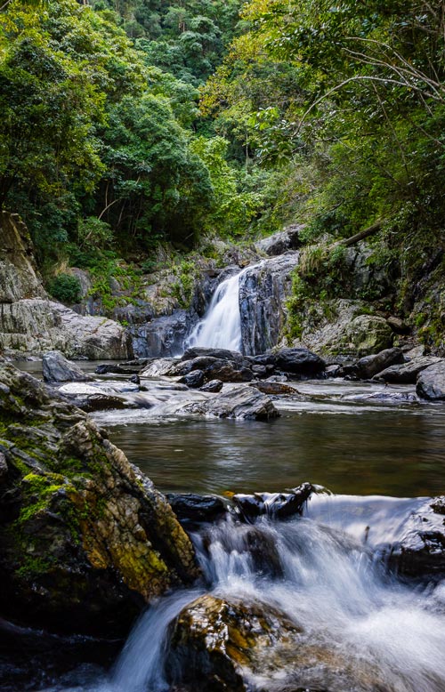 Palm Cove Cascades